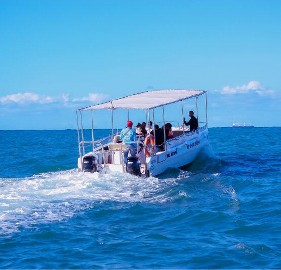 2 Hour Deep Sea Cruises 1 - 27 pax