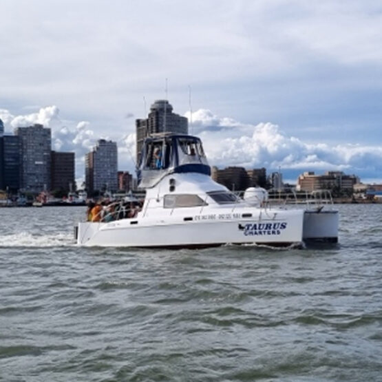 12 Seater Yacht
